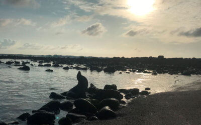 Galápagos frente al Cambio Climático