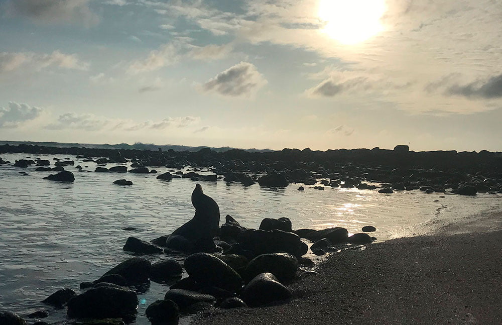 Galápagos frente al Cambio Climático